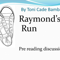 What is the theme for raymond's run